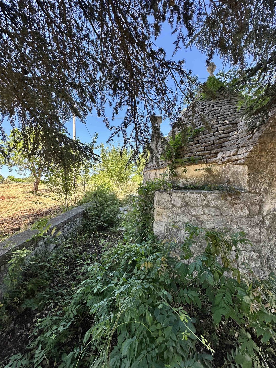 Additional image 3 of Ostuni (Provincia di Brindisi)