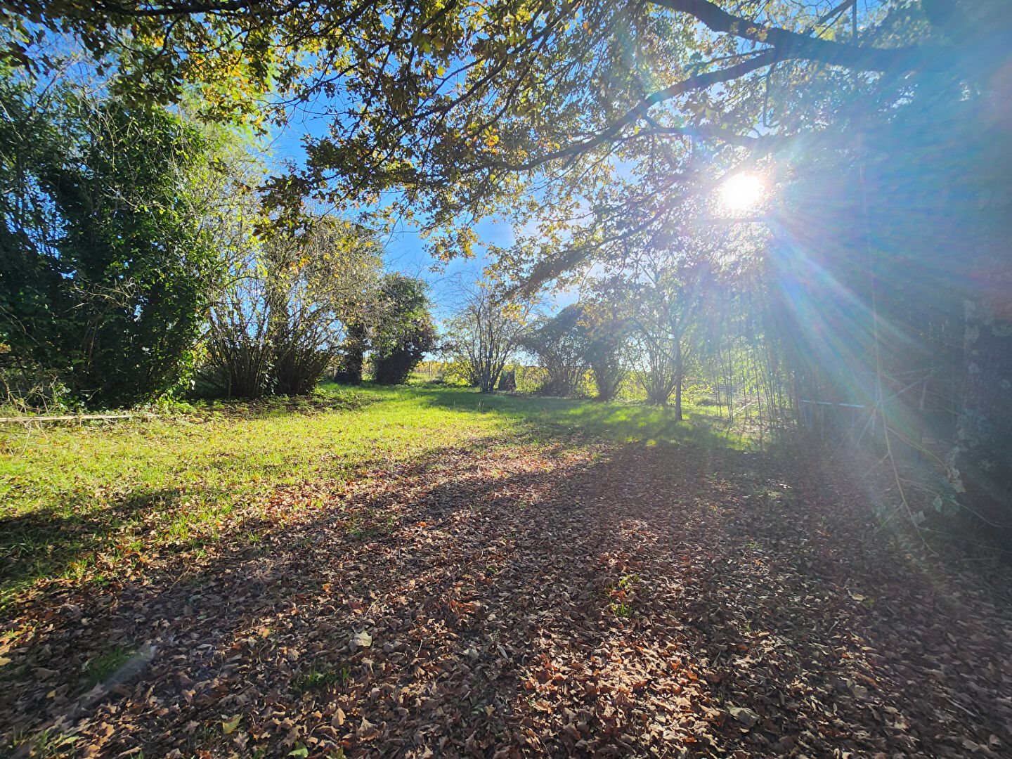 Maison à vendre, 150m², Pugnac