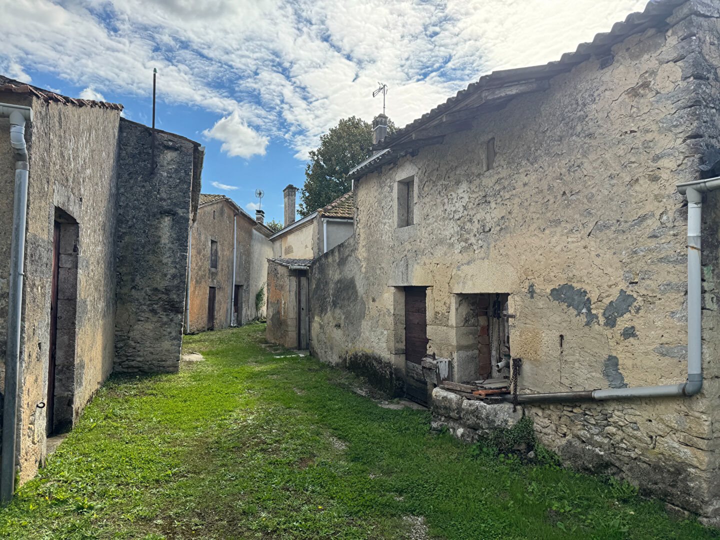 Maison à vendre, 202m², Saint-Androny