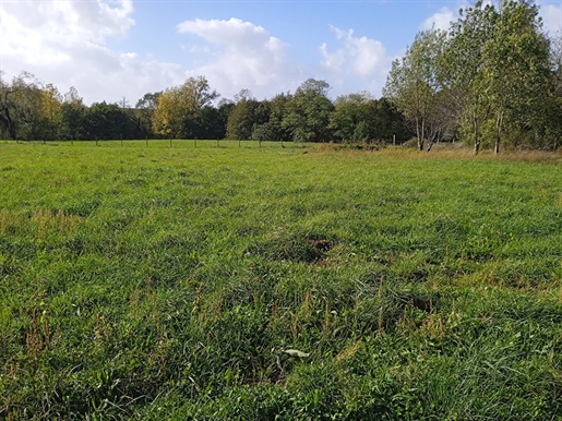 Terrain 1993 m² · à Val-de-Livenne · 1 993 m² · 75 000 €