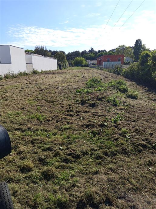Terrain 1379 m² · à Saint-Augustin · 1 379 m² · 164 300 €