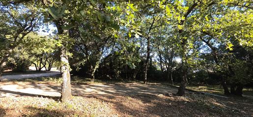 Terrain 667 m² · à Saint-Siffret · 667 m² · 135 000 €