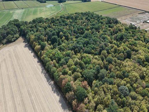 Terrain 33 m² · à Crèvecœur-en-Brie · 382 000 €