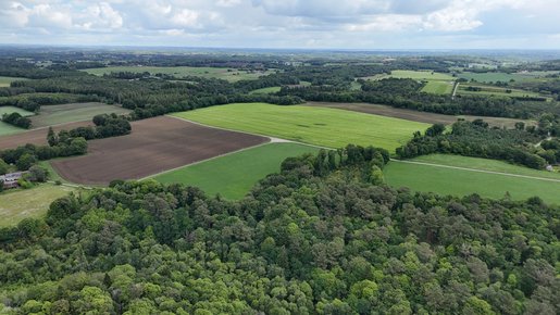 Terrain 39 m² · à Plouay · 424 000 €