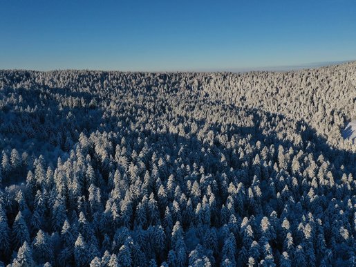 Terrain 252 m² · à La Bourboule · 2 985 000 €