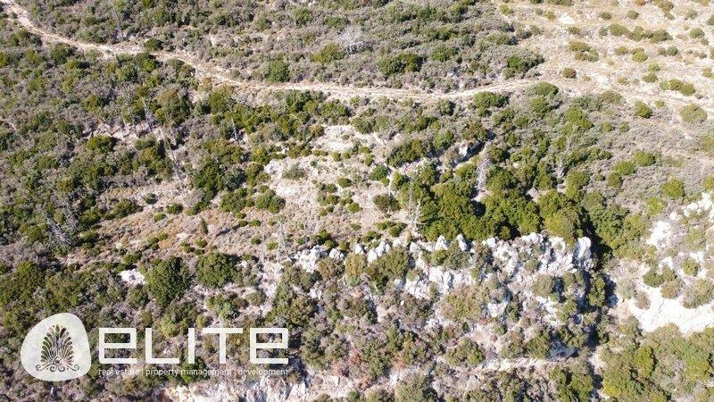 Purchase: Land (28086)
