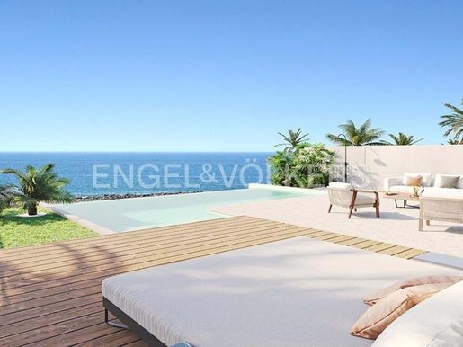 Adeje (Tenerife) photo 2