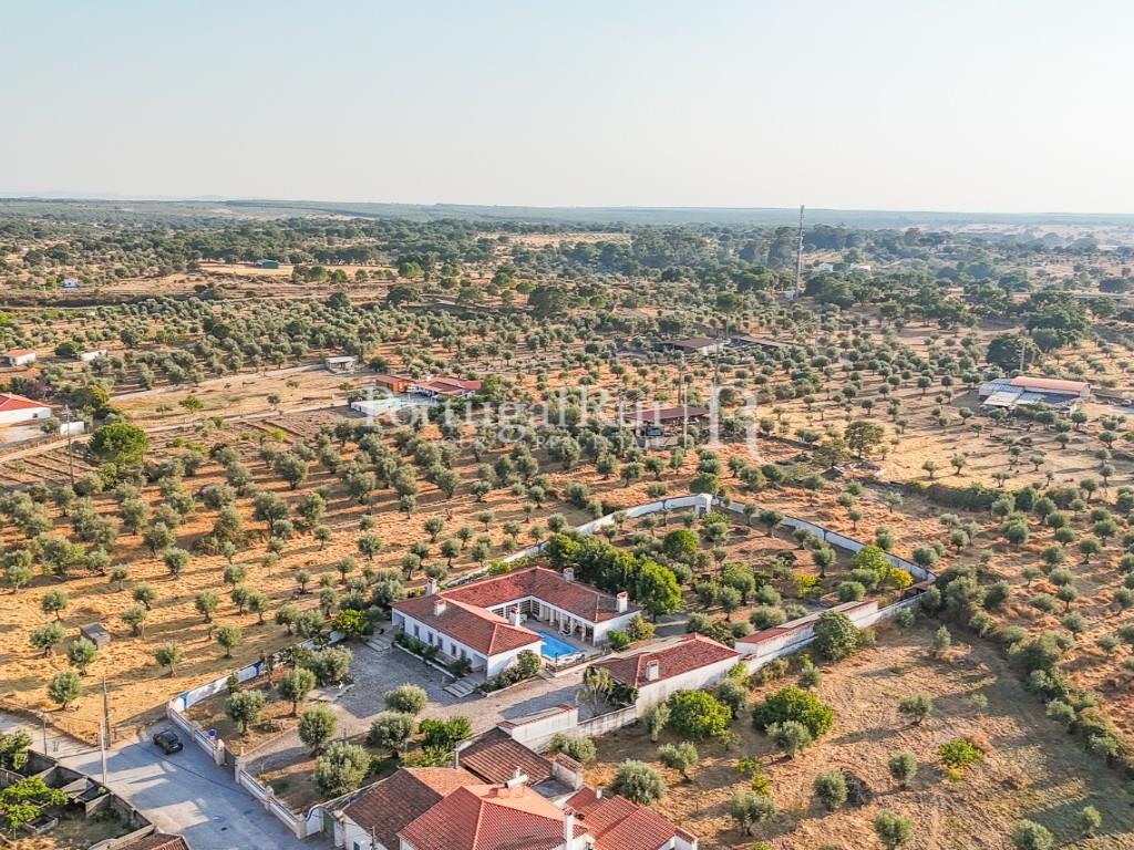 Quinta van 5.000m2 met woning T6 - Al