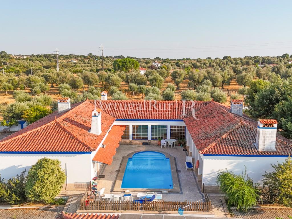 Quinta van 5.000m2 met woning T6 - Al