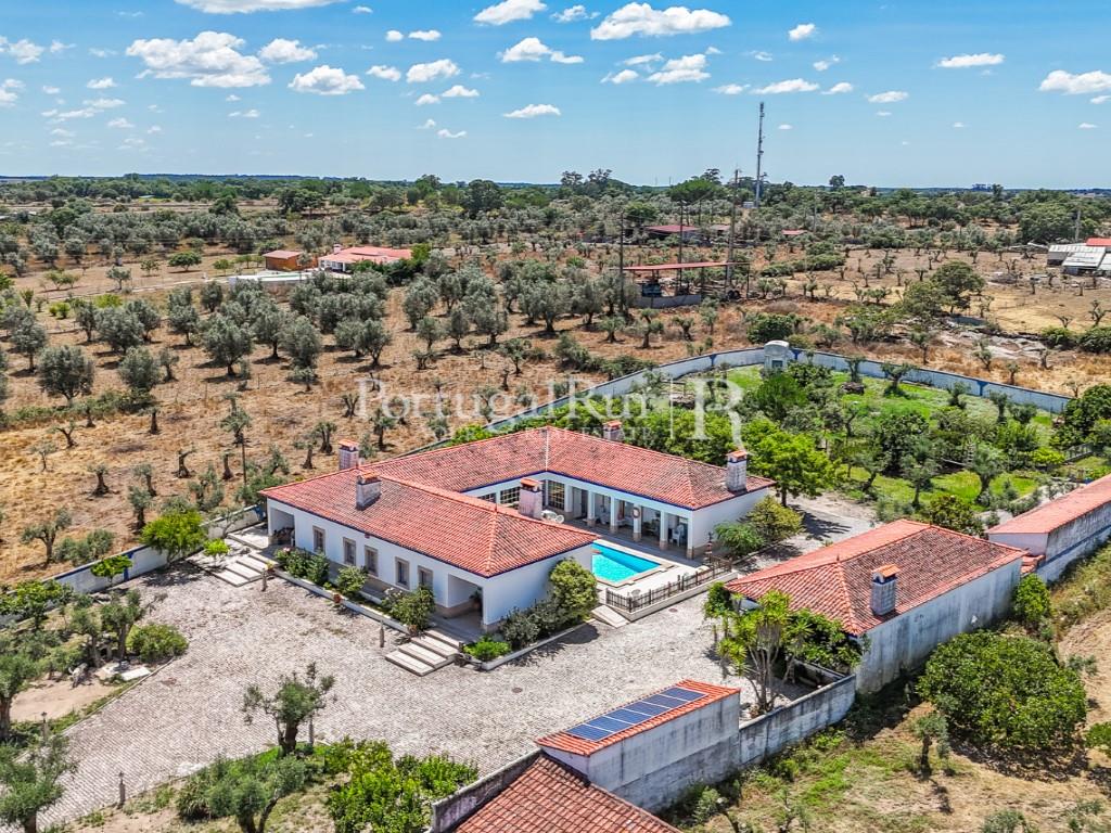 Quinta van 5.000m2 met woning T6 - Al