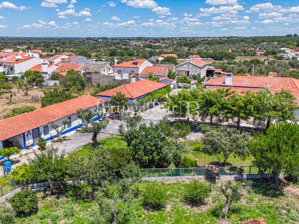 Quinta van 5.000m2 met woning T6 - Al