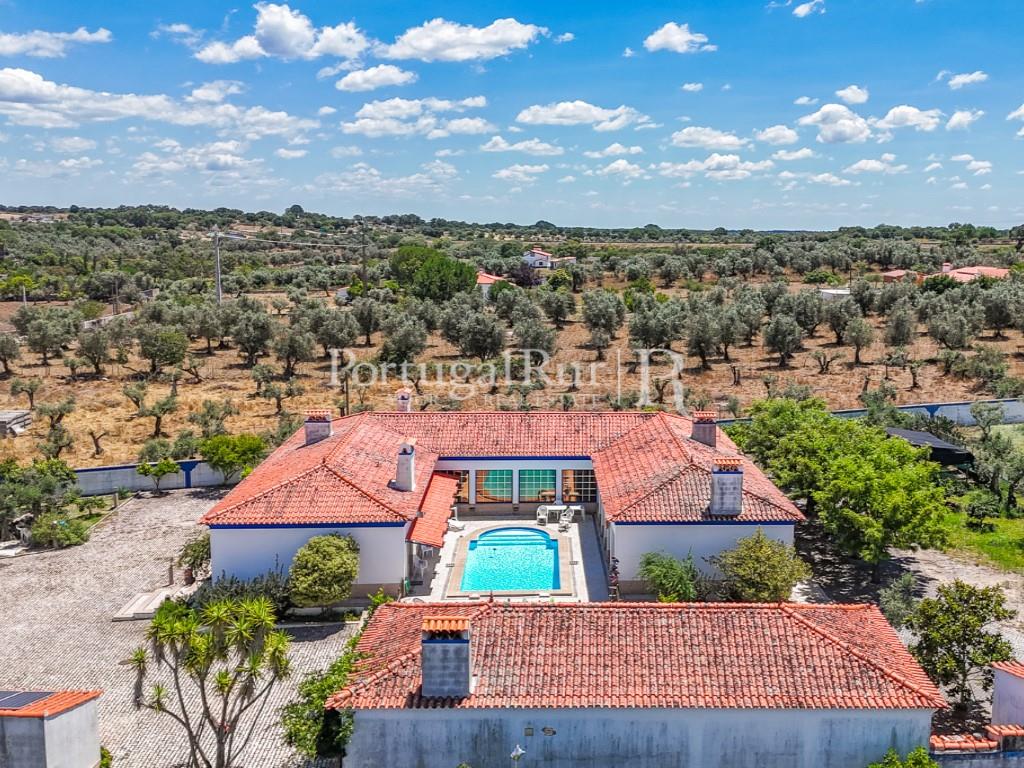 Quinta van 5.000m2 met woning T6 - Al