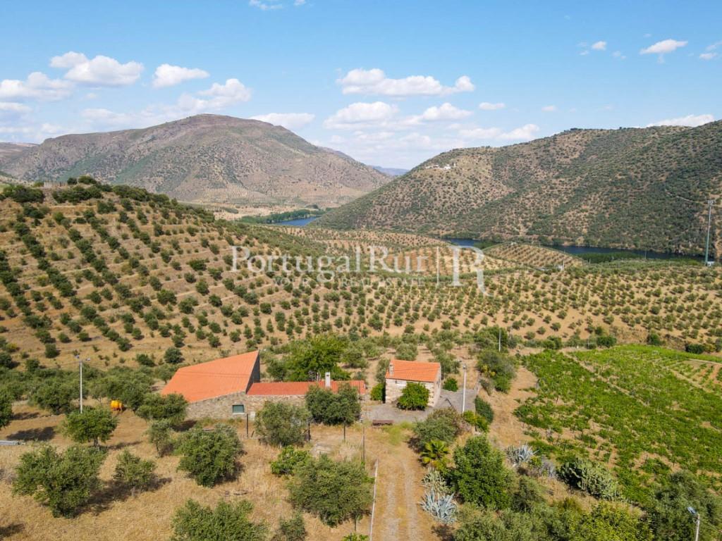 Farm in Barca D'Alva - Douro