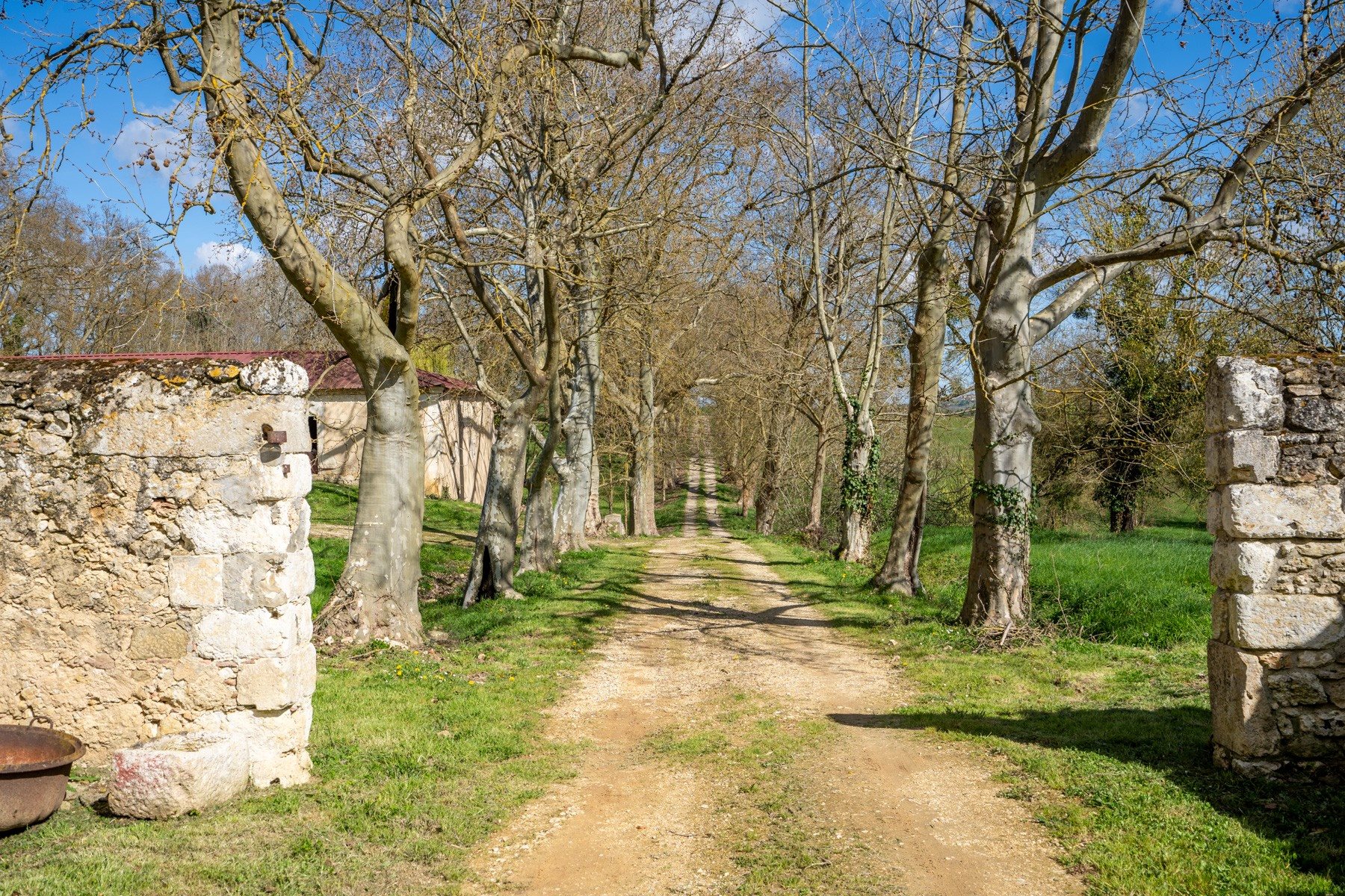 Maison à vendre, 463m², Vic-Fezensac
