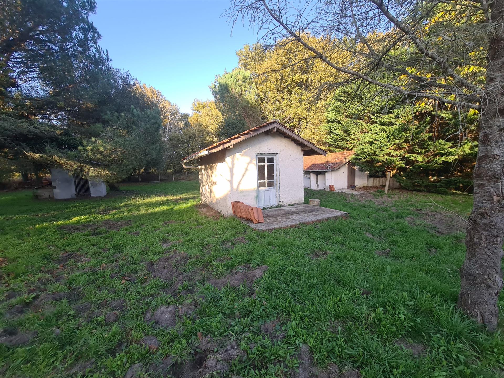 Maison à vendre, 150m², Sainte-Eulalie-en-Born