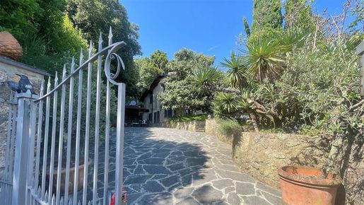 Pietrasanta (Lucca) photo 3