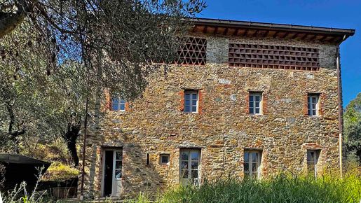 Camaiore (Lucca)