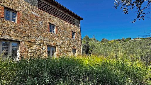 Camaiore (Lucca) photo 2