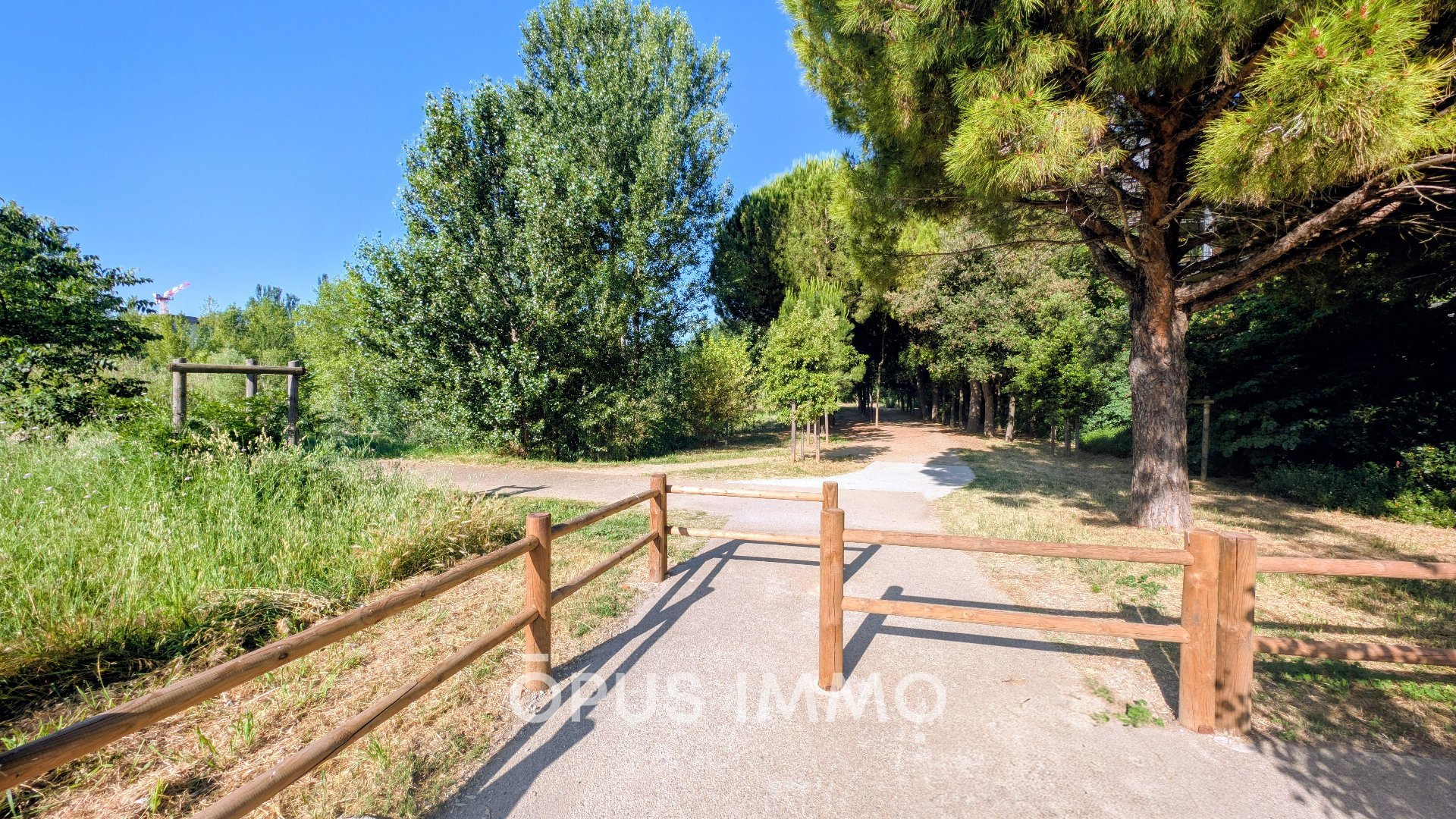 Appartement – Montpellier - Vue 4