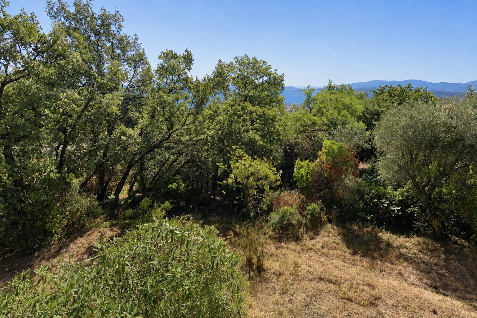 Maison à vendre, 150m², Spéracèdes