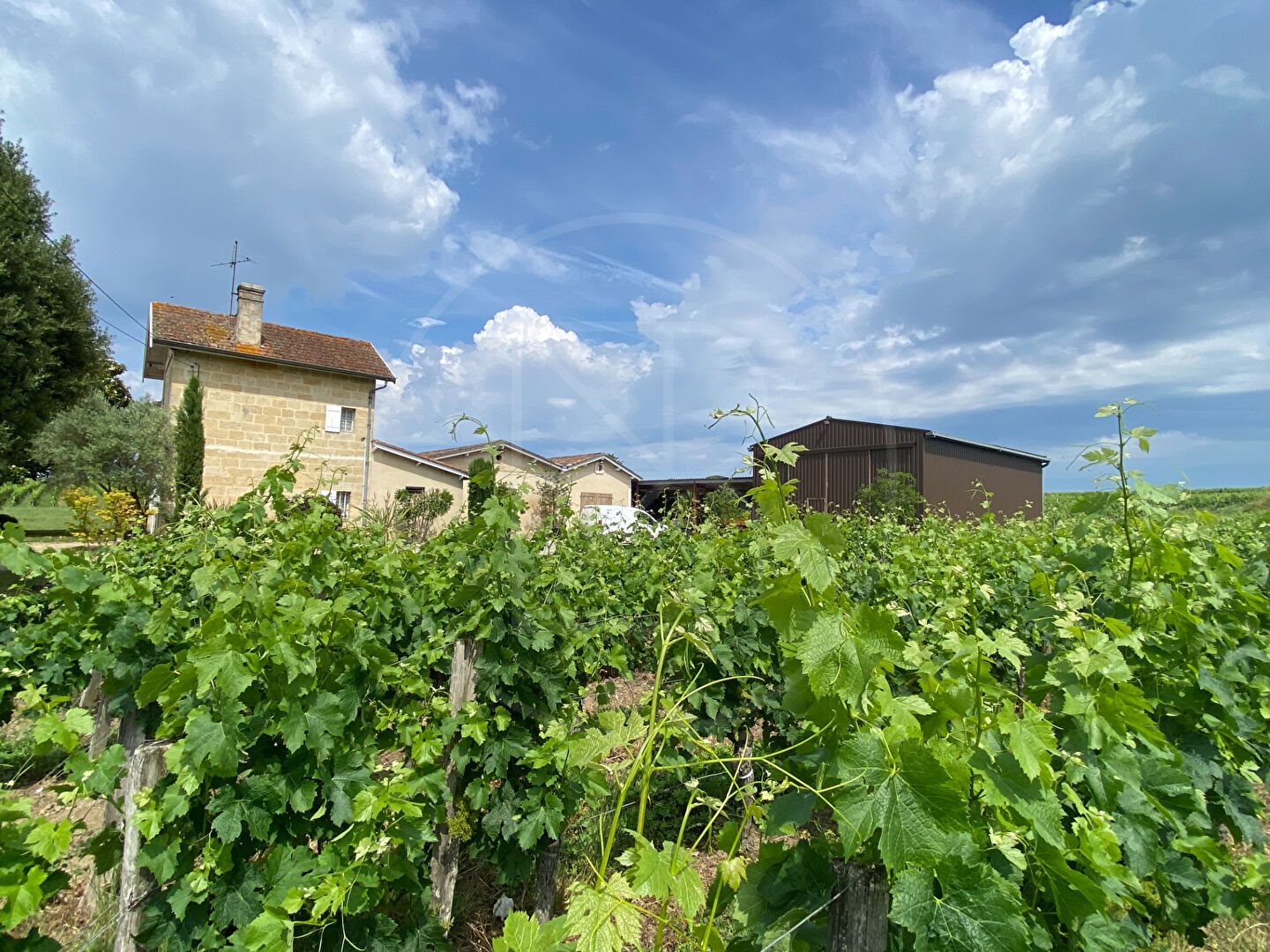 Maison à vendre, 150m², Saint-Emilion