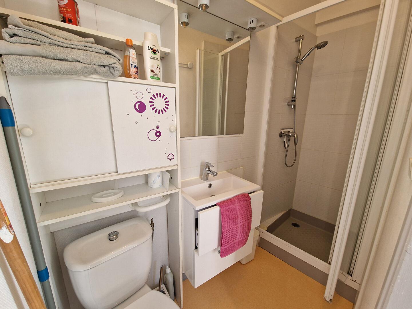 Appartement à vendre, 19m², La Roche-Posay