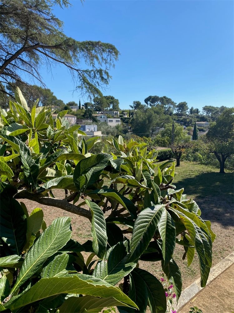 Maison à vendre, 288m², Nîmes