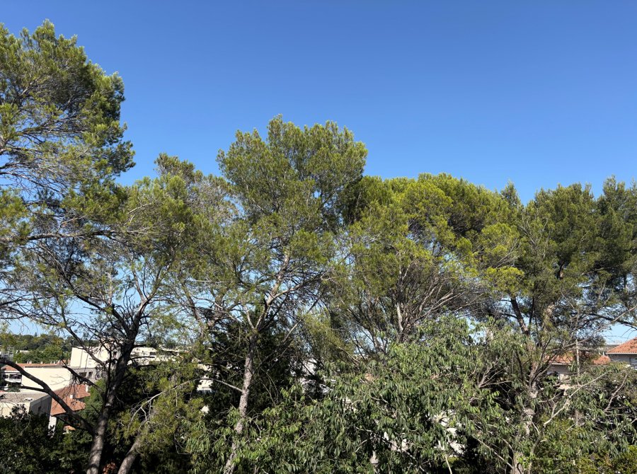 Appartement à vendre, 78m², Nîmes