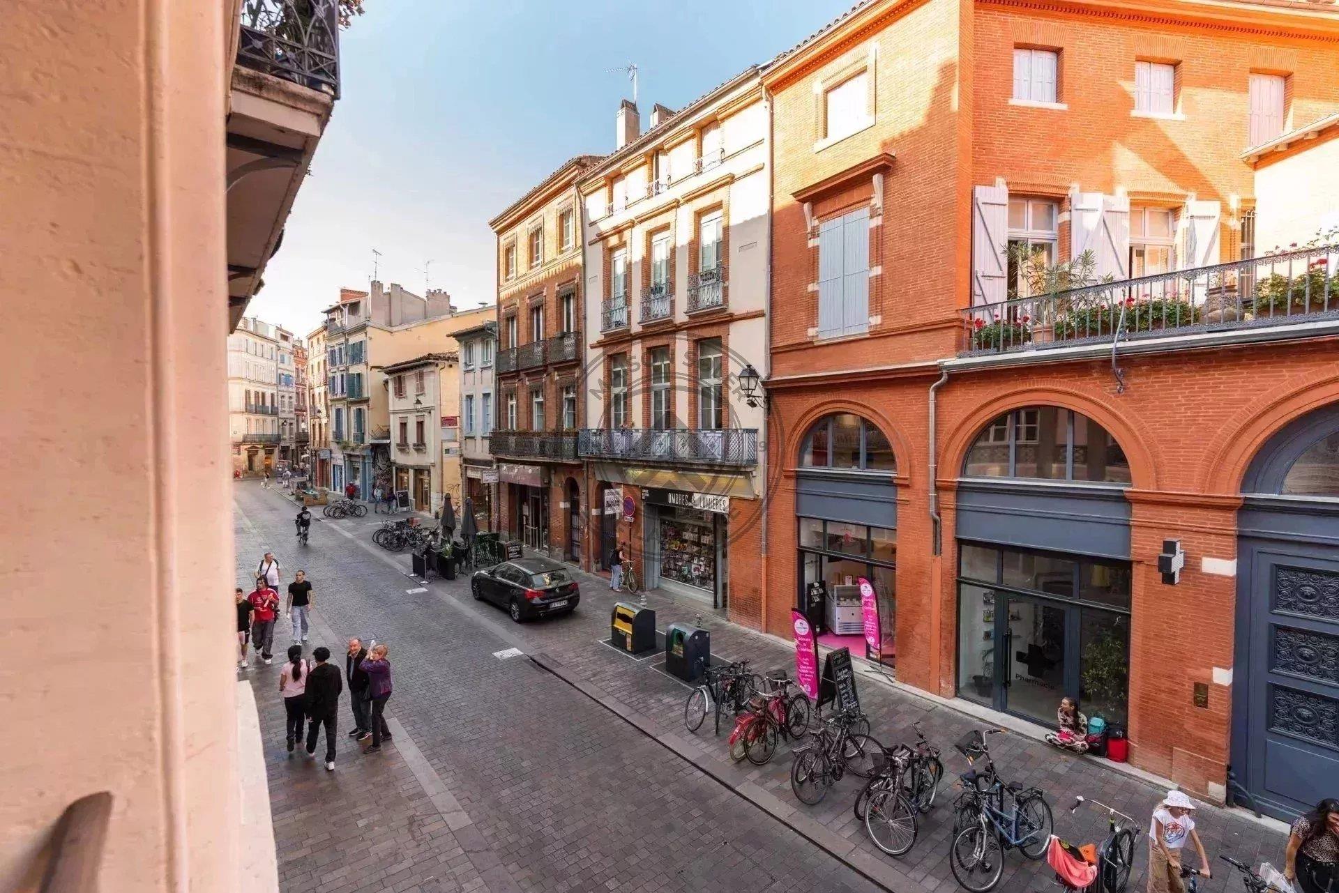 Appartement – Toulouse, Place Occitane, Capitole / Arnaud Bernard / Carmes - Vue 4