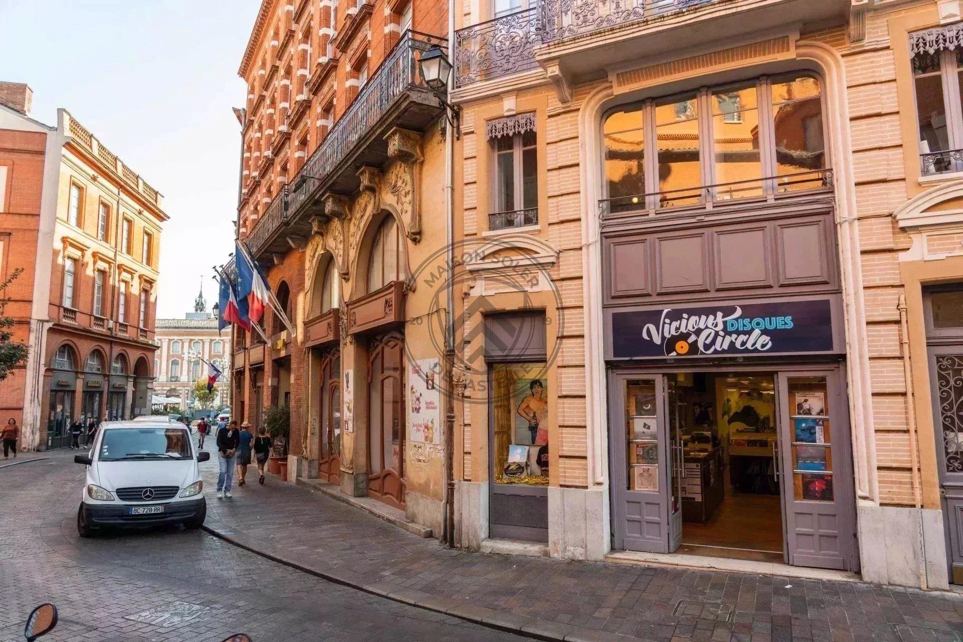 Appartement – Toulouse, Place Occitane, Capitole / Arnaud Bernard / Carmes - Vue 5