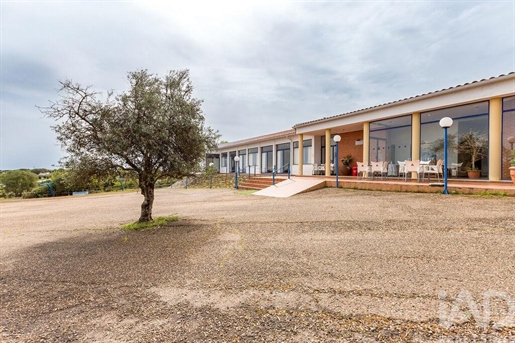 Advert pic 0