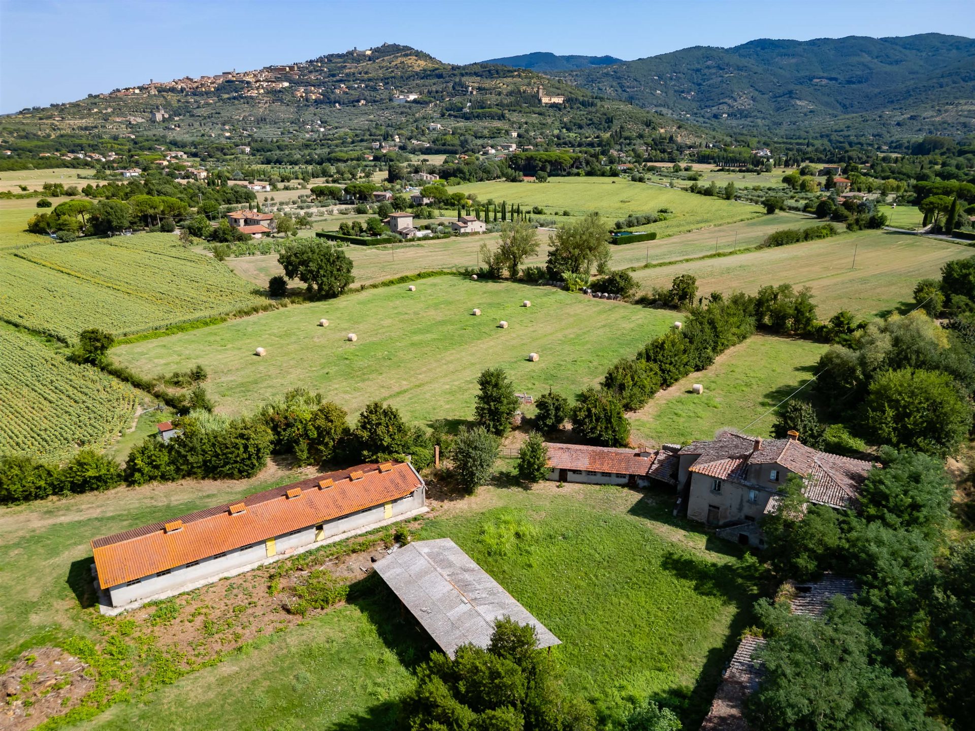 Colonica La Renaia