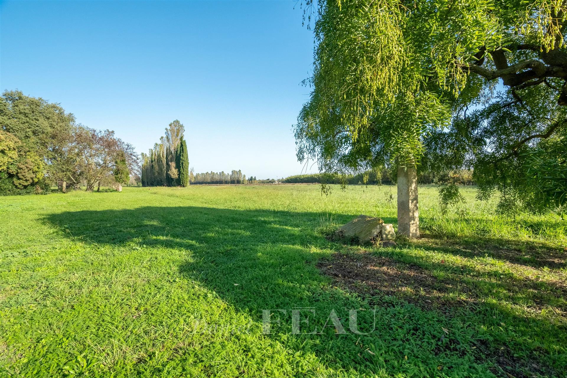 Maison à vendre, 270m², Saint-Rémy-de-Provence
