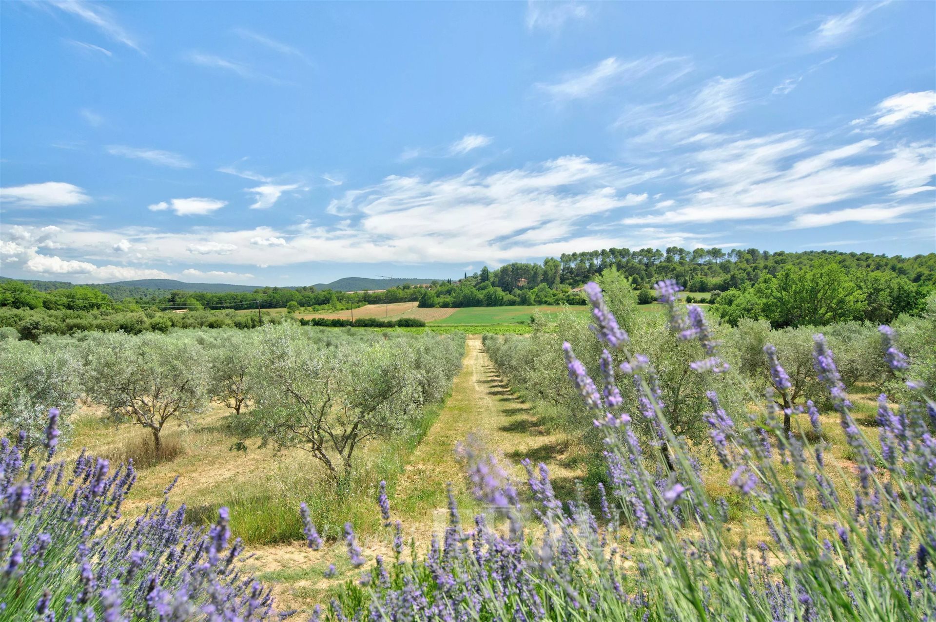 Maison à vendre, 480m², La Bastide-des-Jourdans