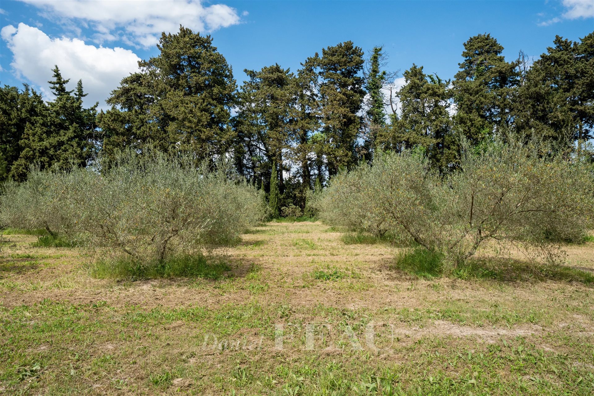 Maison à vendre, 180m², Boulbon