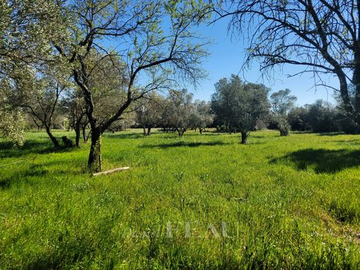 Terrain 294 m² · à Uzès · 294 m² · 585 000 €