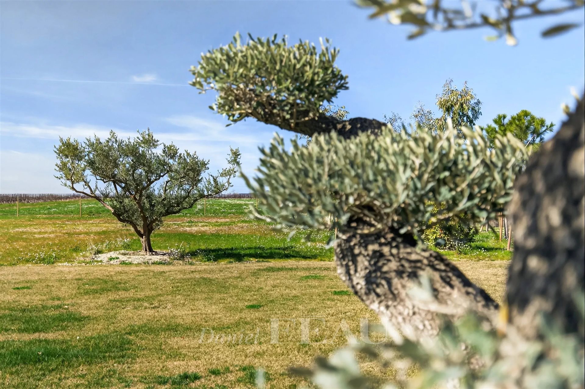 Maison à vendre, 520m², Cucuron