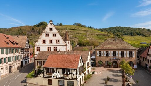 Maison 7 pièces 214 m² · à Andlau · 214 m² · 399 000 €