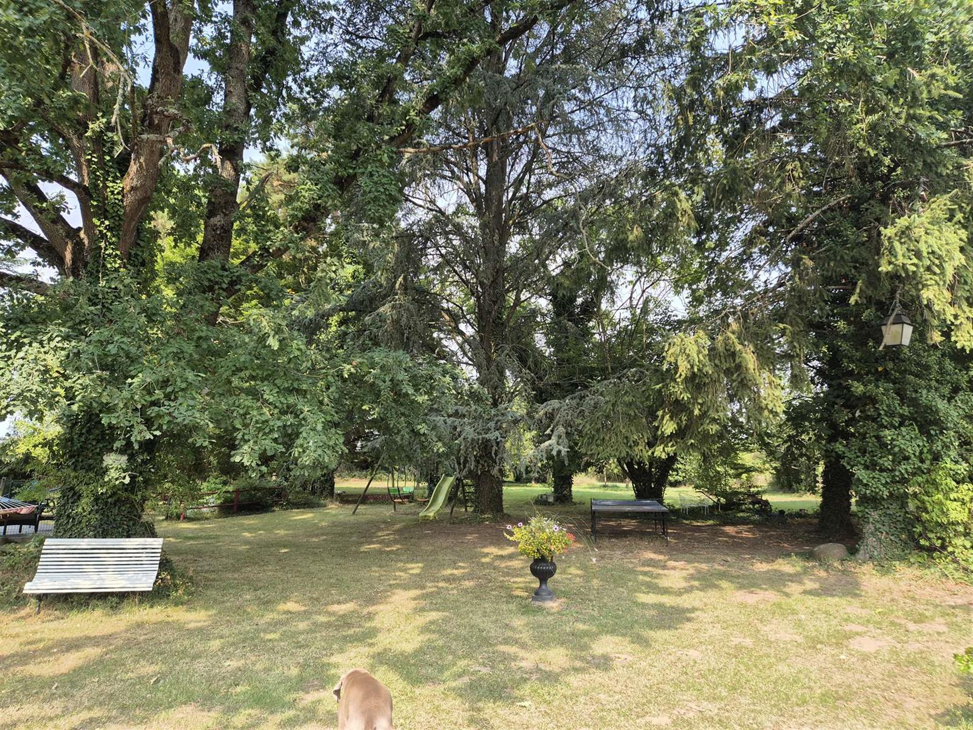 Maison à vendre, 350m², Sully-sur-Loire