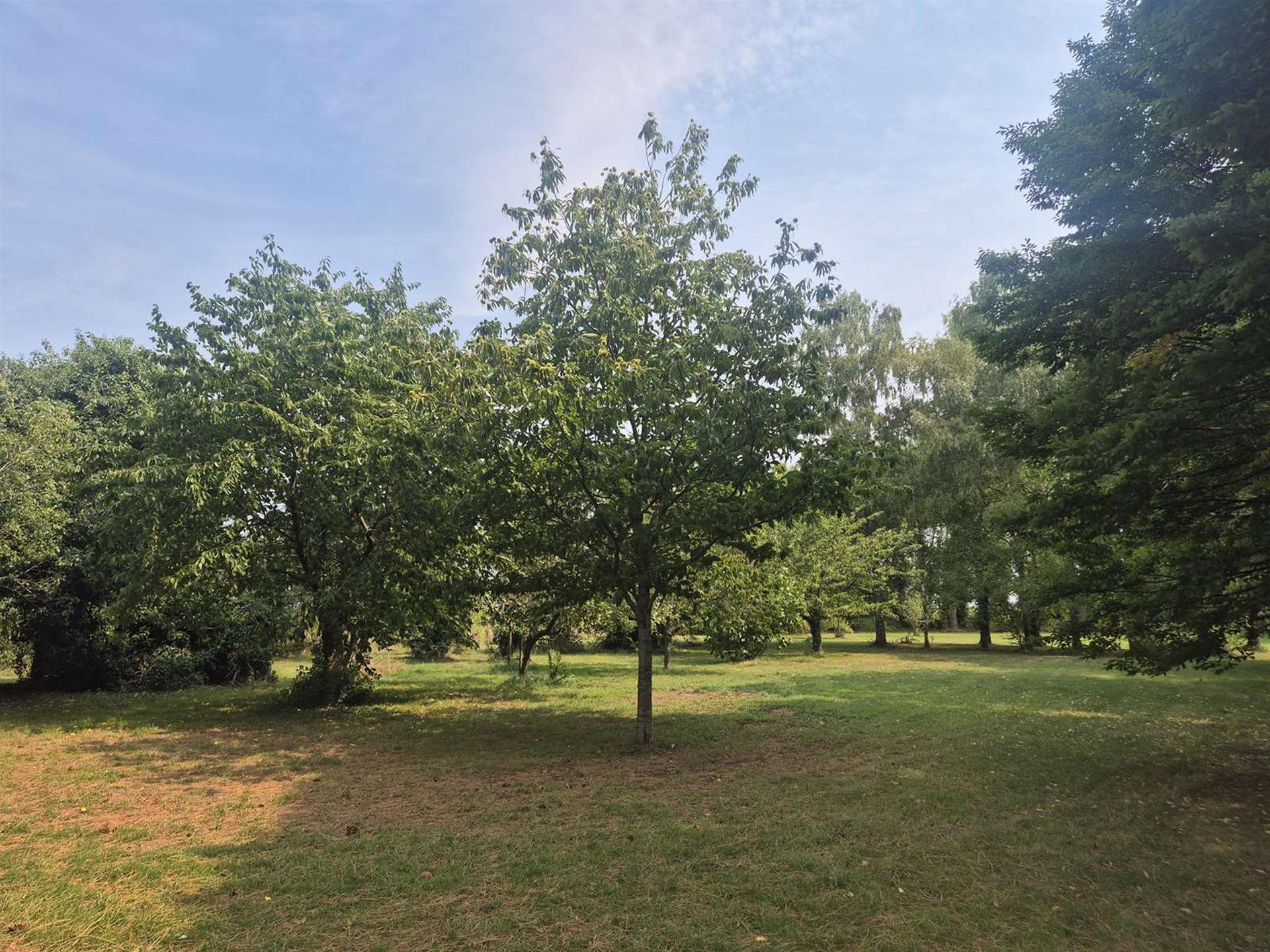 Maison à vendre, 350m², Sully-sur-Loire