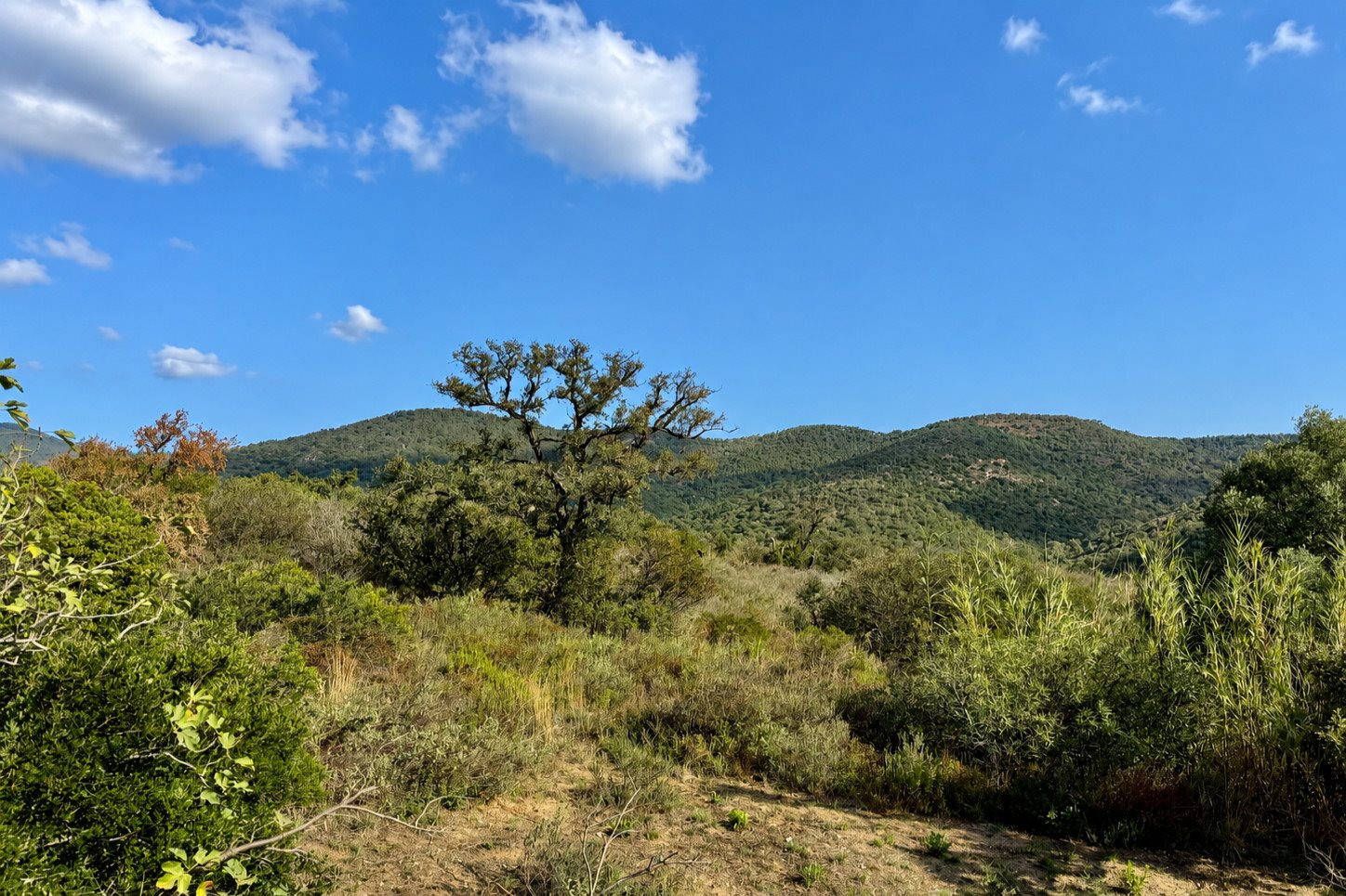 Maison à vendre, 200m², Sainte-Maxime