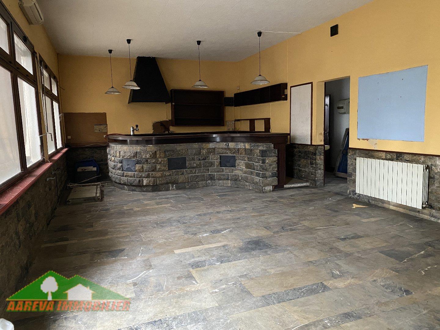 Maison à vendre, 350m², Villeneuve-de-Rivière