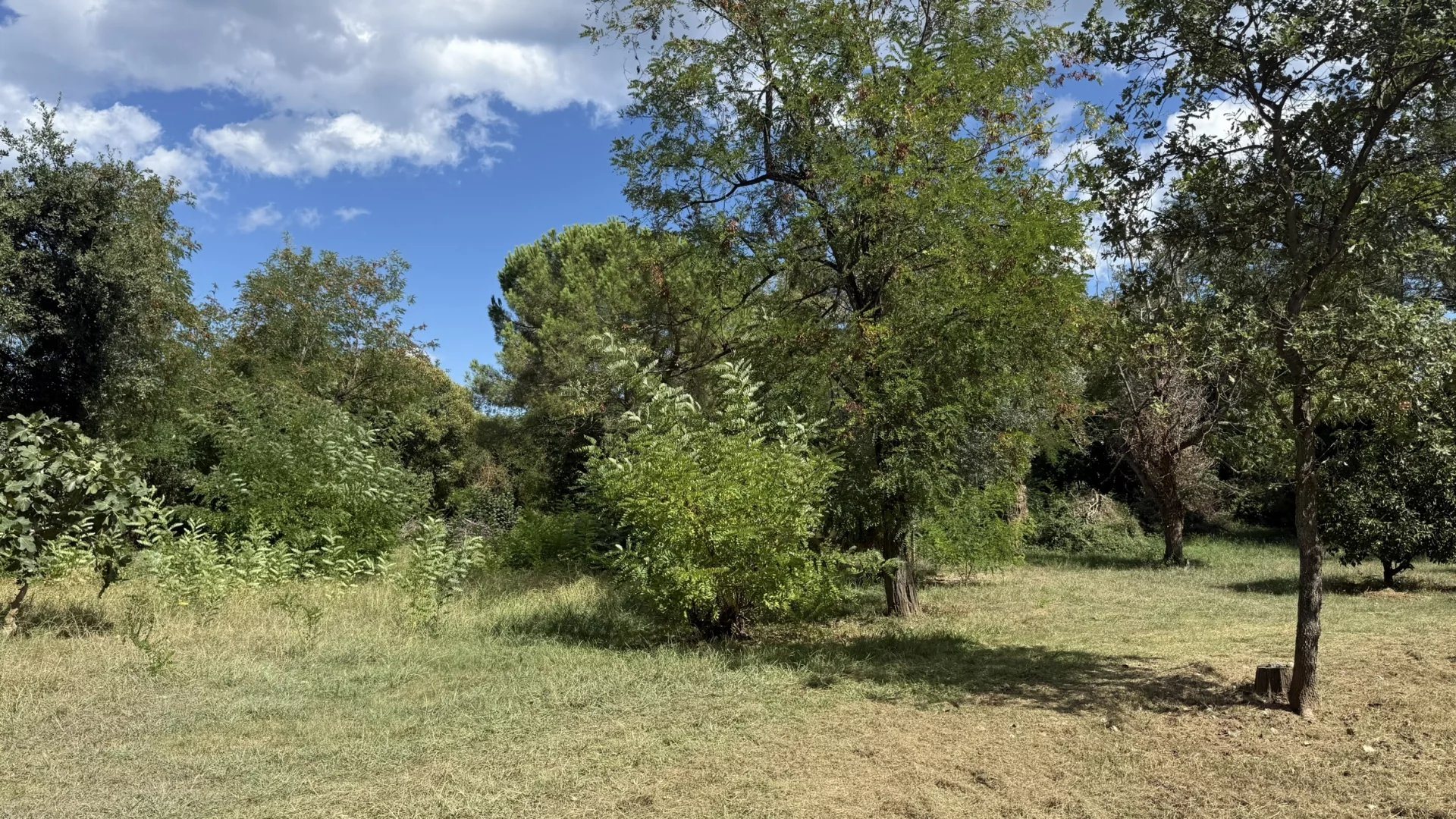 Maison à vendre, 54m², Santa-Lucia-di-Moriani