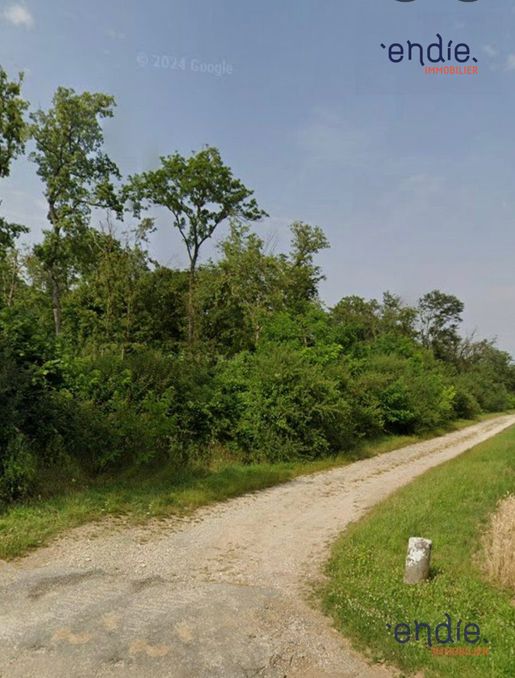 Terrain 1 m² · à Saint-Denis-de-Palin · 210 000 €