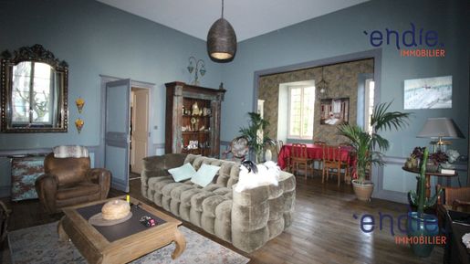 Maison 12 pièces 390 m² · à Mehun-sur-Yèvre · 390 m² · 498 000 €
