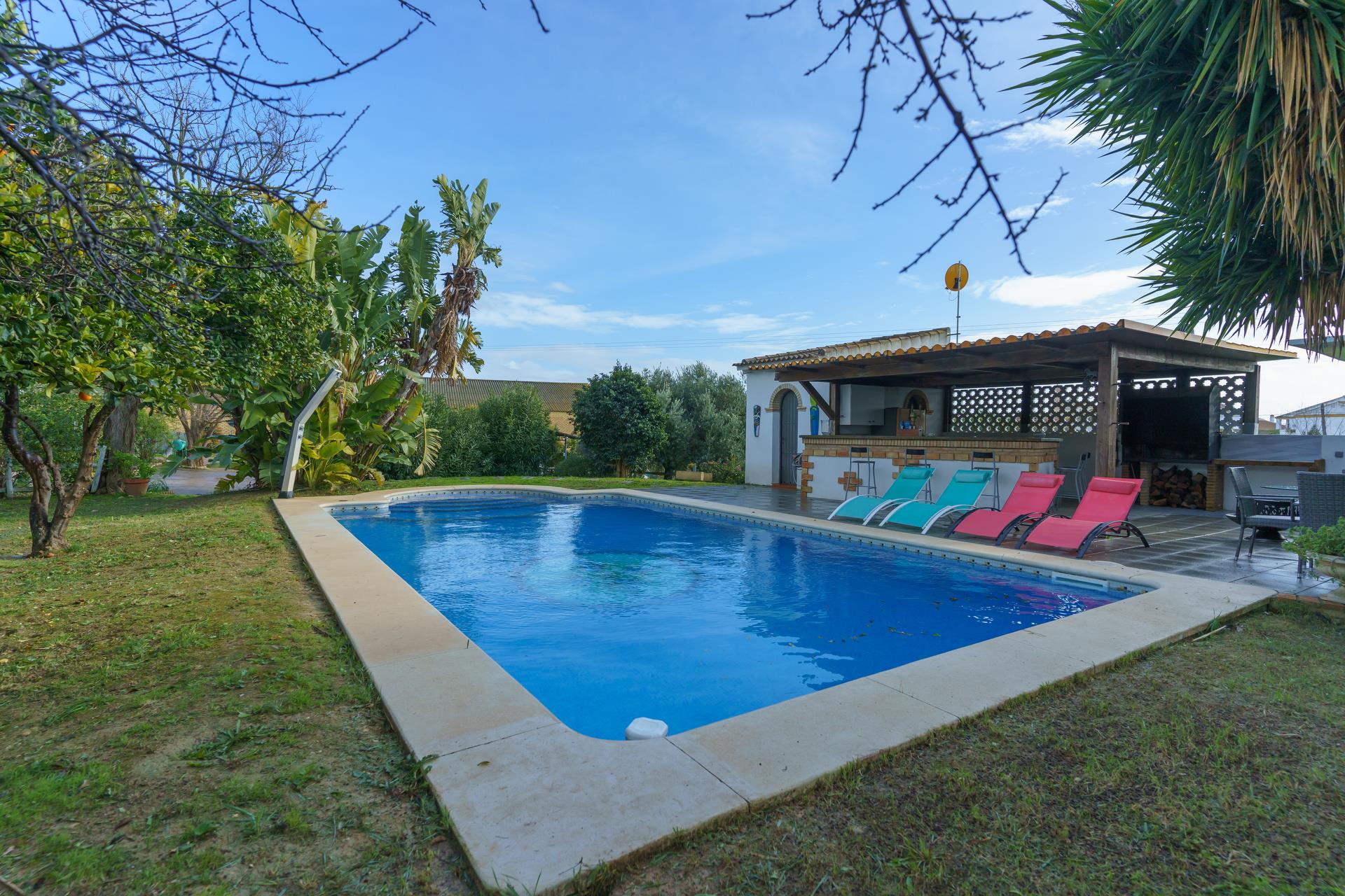 Rustic Property with Detached Villa and Pool – Manzanilla (Huelva, Spain) - View 4