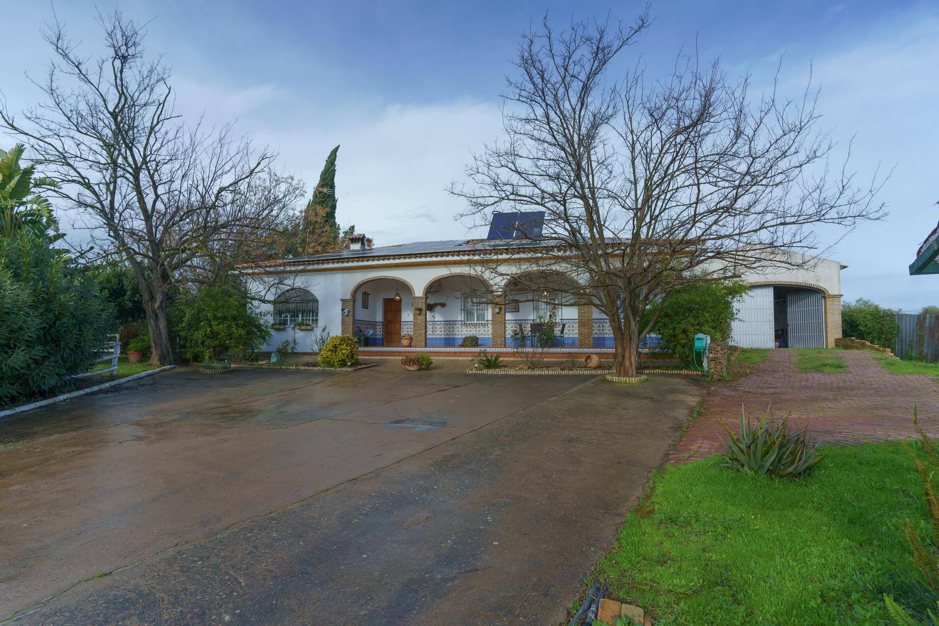 Rustic Property with Detached Villa and Pool – Manzanilla (Huelva, Spain) - More