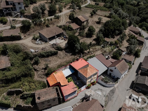 Cercosa (Mortágua) photo 2