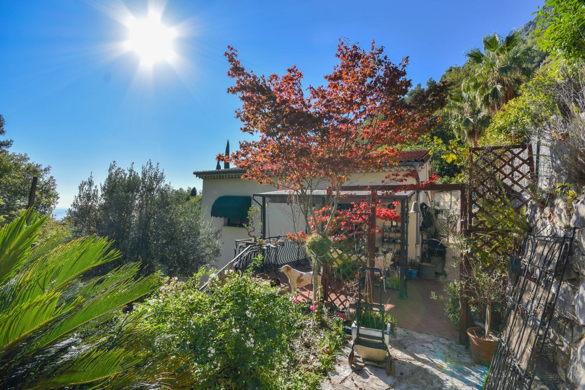 Maison à vendre, 228m², Roquebrune-Cap-Martin