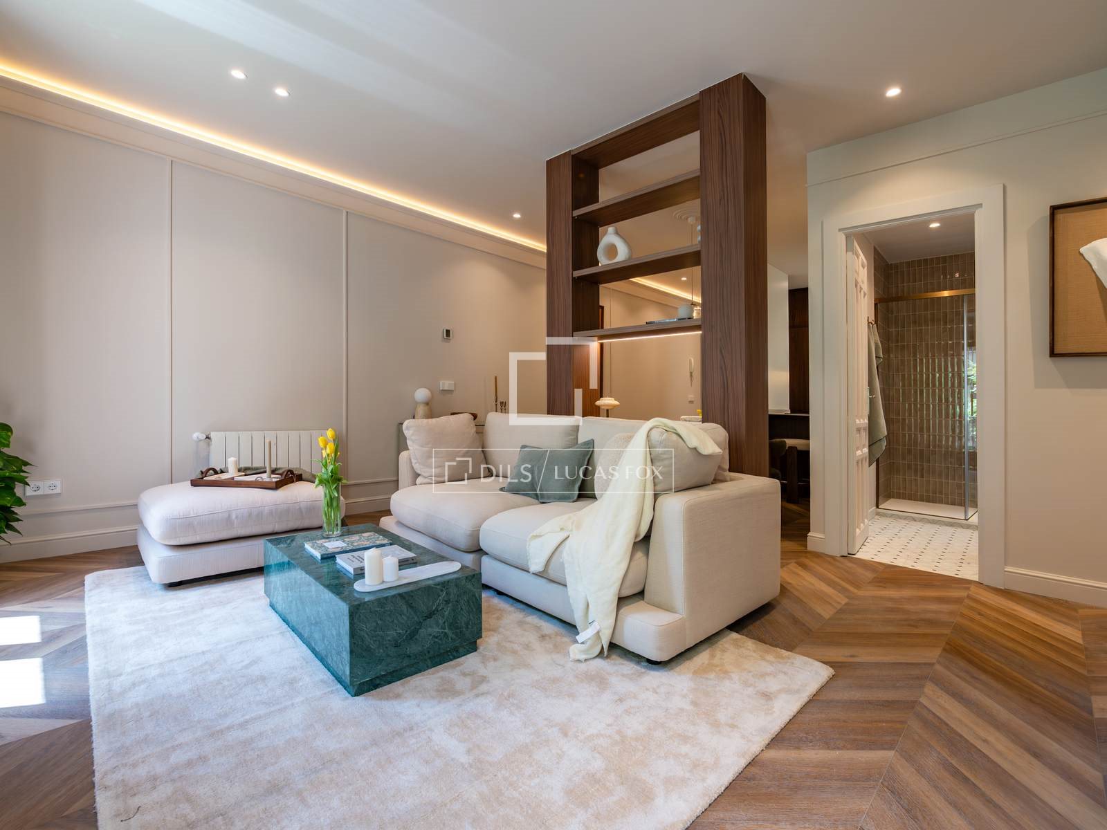 Apartment in Madrid - View 3